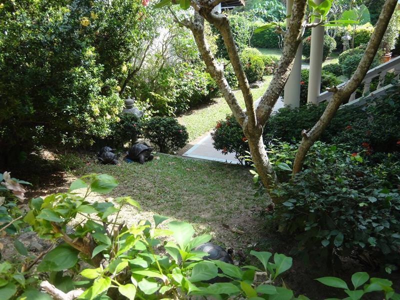 Holiday Village And Natural Garden Resort Phuket Esterno foto